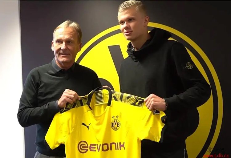 新西兰赌场2025年本地员工比例升至85%